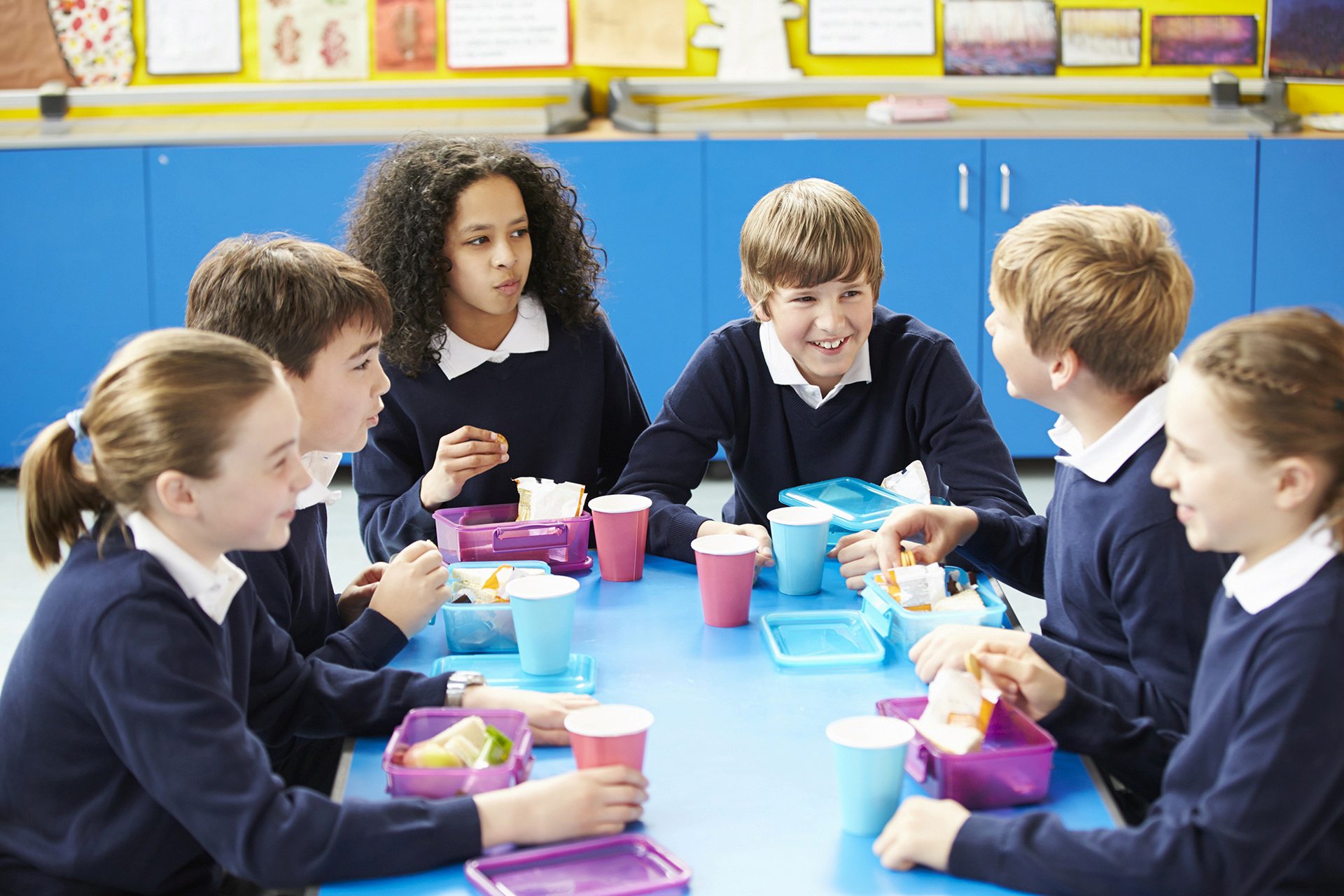 Go to Curriculum page